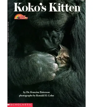 Koko’s Kitten
