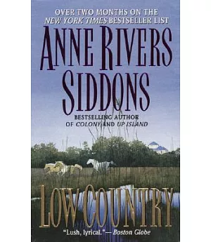 Low Country: A Novel