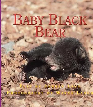 The Adventures of Baby Bear
