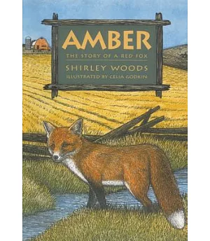Amber: Story Of A Red Fox
