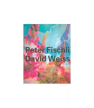 Peter Fischli - David Weiss