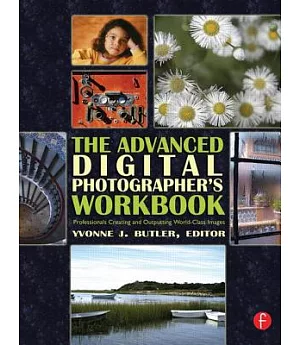 The Advanced Digital Photographer’s Workbook: Professionals Creating And Outputting World-class Images