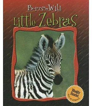 Little Zebras