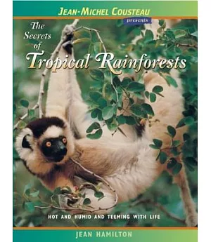 The Secrets Of Tropical Rainforests: Hot and Humid and Teeming with life