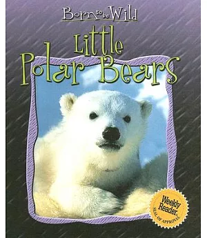 Little Polar Bears