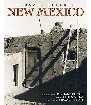 Bernard Plossu’s New Mexico
