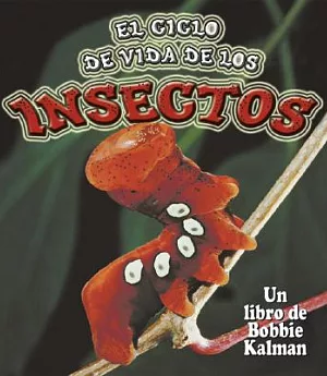 El Ciclo De Vida De Los Insectos / The Life Cycle of Insects