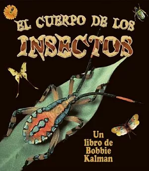 El Cuerpo De Los Insectos / Insects Bodies