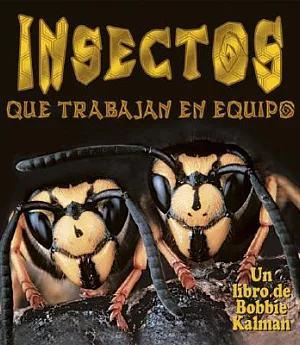 Insectos Que Trabajan En Equipo / Insects That Work Together