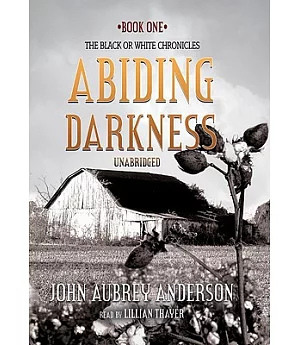 Abiding Darkness: Book 1 of the Black or White Chronicles