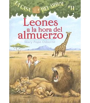 Leones a La Hora Del Almuerzo / Lions at Lunchtime