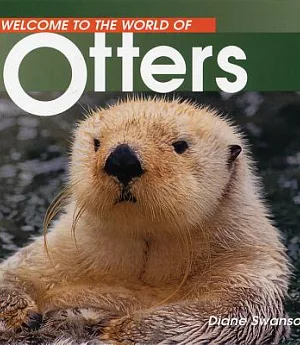 Welcome to the World of Otters