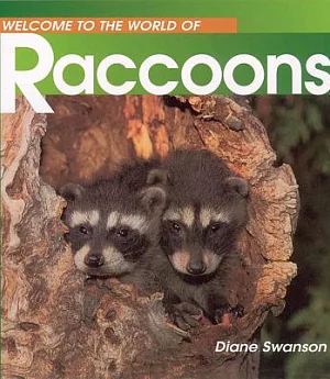 Welcome to the World of Raccoons