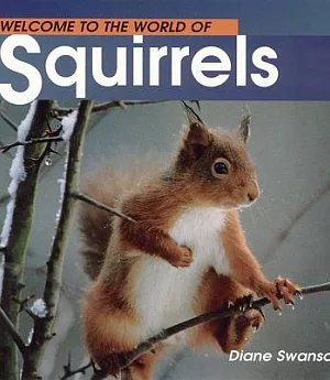 Welcome to the World of Squirrels