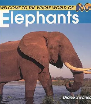 Welcome to the Whole World of Elephants