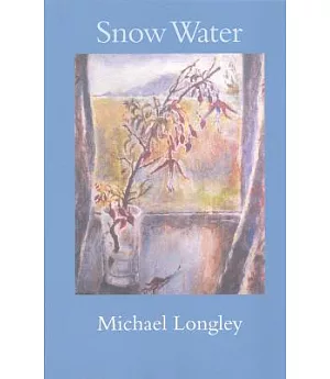 Snow Water