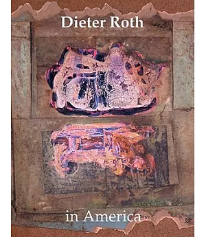 Dieter Roth In America