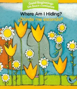 Where Am I Hiding?/donde Me Escondo?