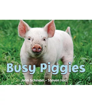 Busy Piggies