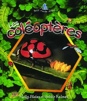Les Coleopteres / The Life Cycle of a Beetle