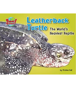 Leatherback Turtle: The World’s Heaviest Reptile