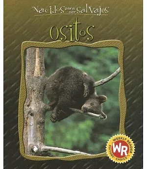 Ositos/Little Bears