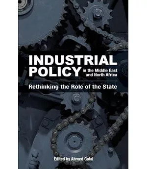 Industrial Policy in the Middle East and North Africa: Rethinking the Role of the State