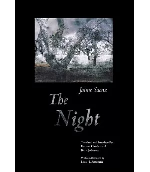 The Night: A Poem By Jaime Saenz