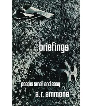 Briefings and Poems: Small and Easy