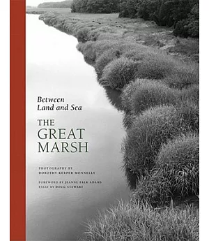 Between Land and Sea: The Great Marsh
