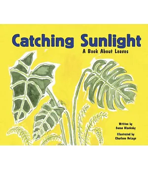 Catching Sunlight: A Book About Leaves