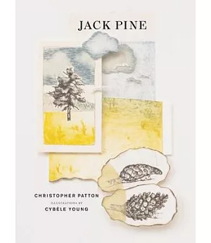 Jack Pine