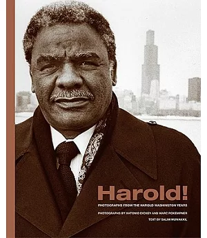 Harold!: Photographs from the Harold Washington Years