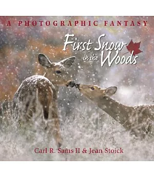 First Snow in the Woods: A Photographic Fantasy