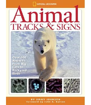 Animal Tracks & Signs