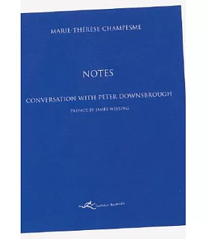 Notes: Conversation With Peter Downsbrough