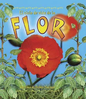 El Ciclo De Vida De La Flor/ the Flower’s Life Cycle