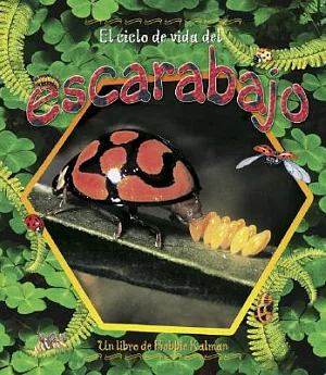 El Ciclo De Vida Del Escarabajo/ the Beetle’s Life Cycle