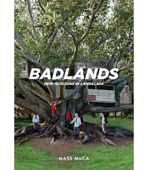 Badlands: New Horizons in Landscape