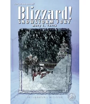 Blizzards Snowstory Fury