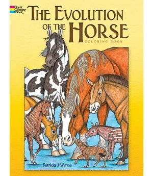 The Evolution of the Horse
