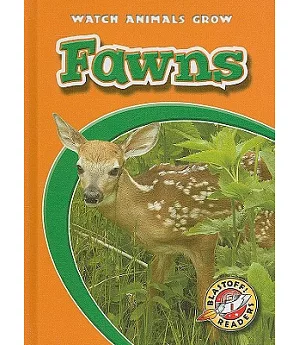 Fawns