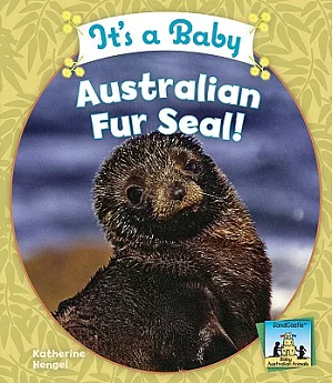 It’s a Baby Australian Fur Seal!