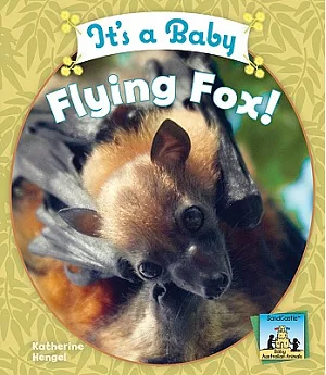 It’s a Baby Flying Fox!