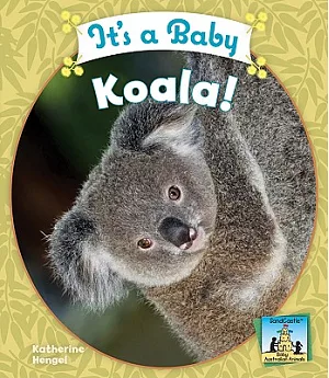 It’s a Baby Koala!