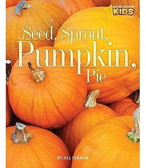 Seed, Sprout, Pumpkin, Pie