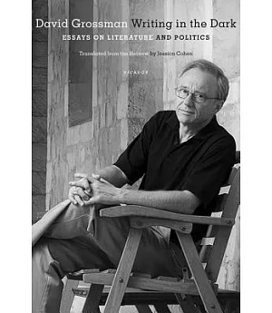 Writing in the Dark: Essays on Literature and Politics