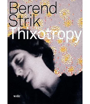 Berend Strik: Thixotropy
