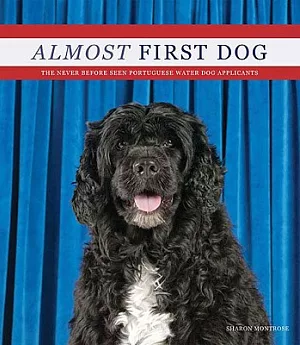 Almost First Dog: The Secret Rejected Portuguese Water Dog Applications