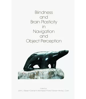 Blindness and Brain Plasticity in Navigation and Object Perception